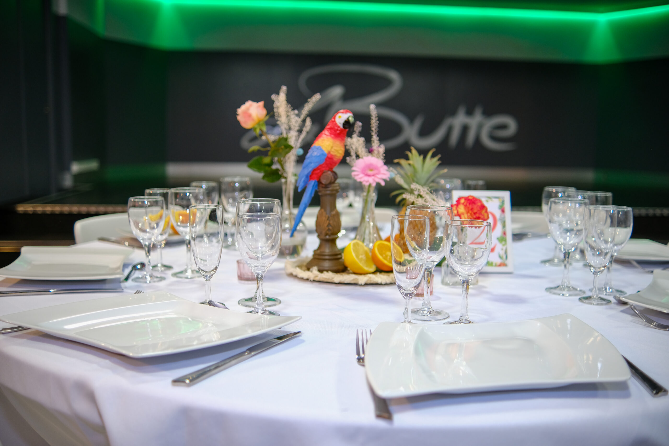 decoration-perroquet